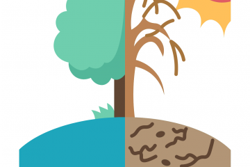 déclaration de ctastrtrophe naturelle