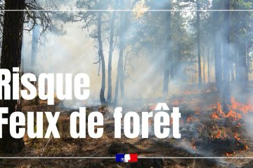Risque d'incendie de forêt et de végétation