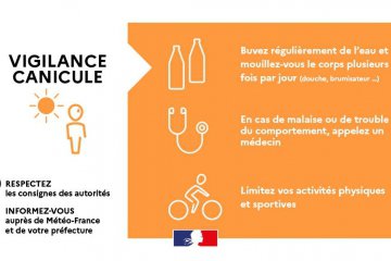 Vigilance canicule