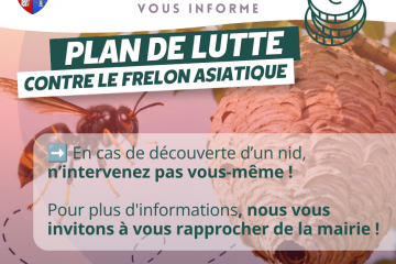 Lutte contre le frelon asiatique